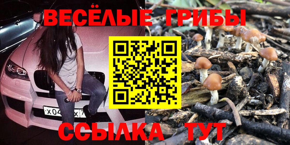 Псилоцибиновые грибы GOLDEN TEACHER Боровичи